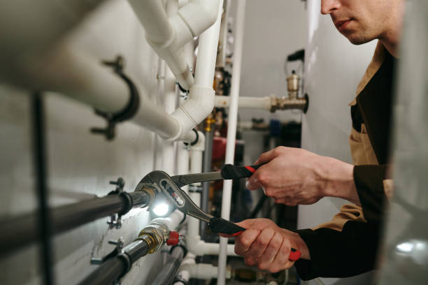 Best Clogged Drain Plumber  in Edmore, MI