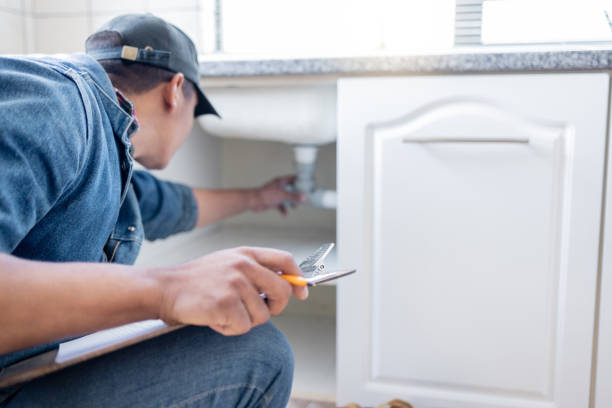 Best Same-Day Plumbing Service  in Edmore, MI